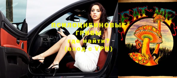 трава Верхнеуральск