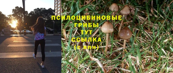 трава Верхнеуральск