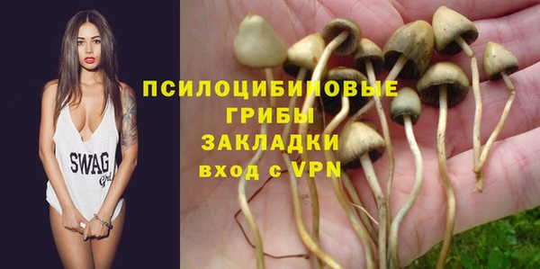 трава Верхнеуральск