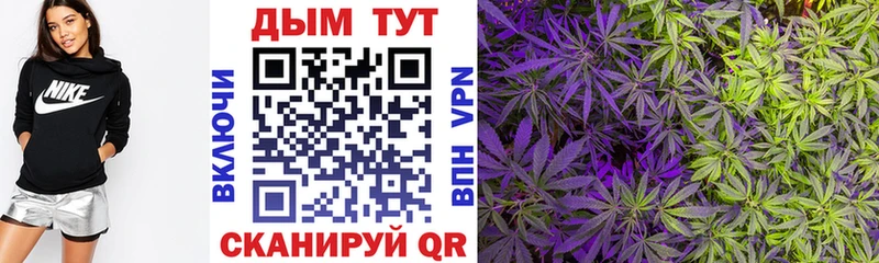 сколько стоит Вяземский Каннабис конопля